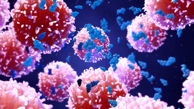 Groundbreaking study might have discovered a more efficient way to treat cancer Groundbreaking study might have discovered a more efficient way to treat cancer