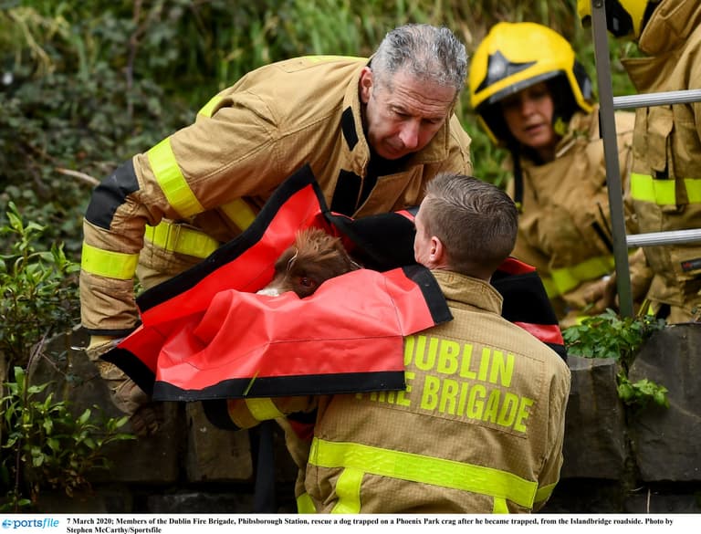 Firefighters from Phibsborough station rescue dog from a cliff Firefighters from Phibsborough station rescue dog from a cliff