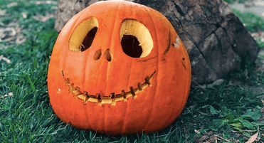 ‘Pumpkin spotting’ might be replacing trick-or-treating this year – and it sounds like good fun ‘Pumpkin spotting’ might be replacing trick-or-treating this year – and it sounds like good fun