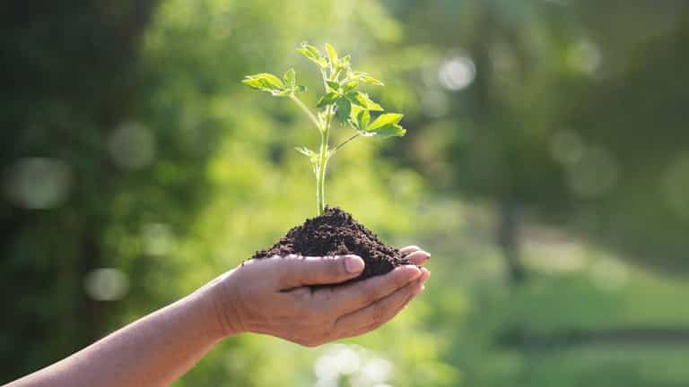 10 simple ways to make a difference this Earth Day 10 simple ways to make a difference this Earth Day