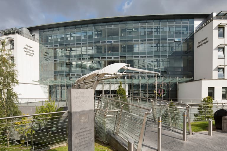 Investigation underway at Cork University Maternity Hospital after multiple baby organs were incinerated Investigation underway at Cork University Maternity Hospital after multiple baby organs were incinerated