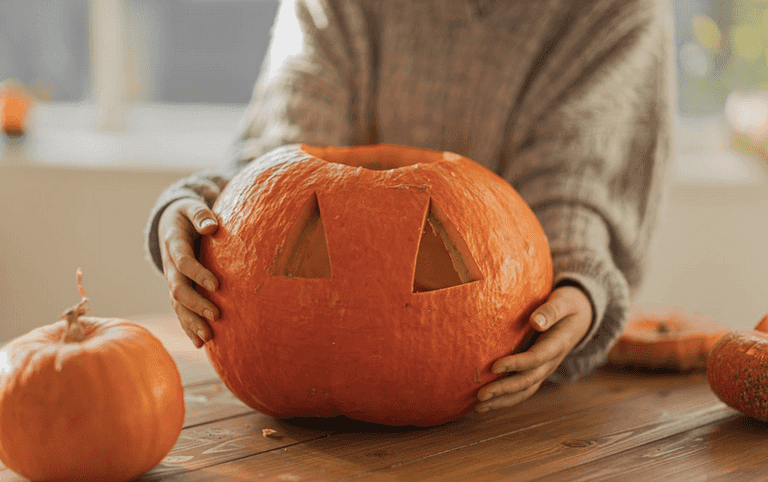 3 brilliant things to do with all that pulp after you carve your pumpkin 3 brilliant things to do with all that pulp after you carve your pumpkin
