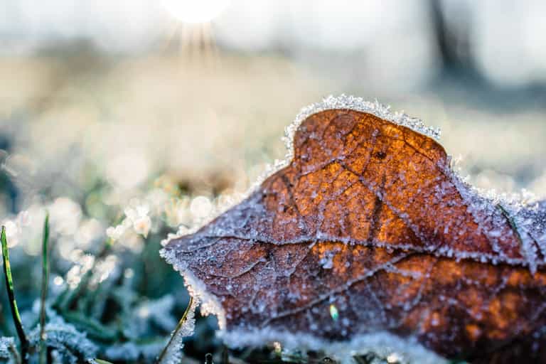 Met Éireann forecast a massive change in weather before Christmas Met Éireann forecast a massive change in weather before Christmas