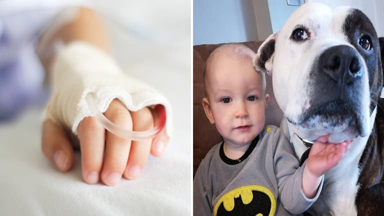 “It can happen”: Mum issues stark warning to parents after her dog attacks toddler “It can happen”: Mum issues stark warning to parents after her dog attacks toddler
