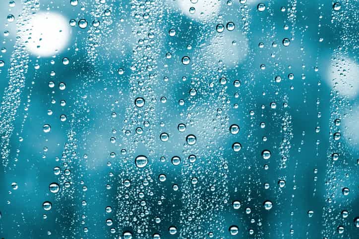 Status Yellow warning issued with heavy rain and wind on the way Status Yellow warning issued with heavy rain and wind on the way