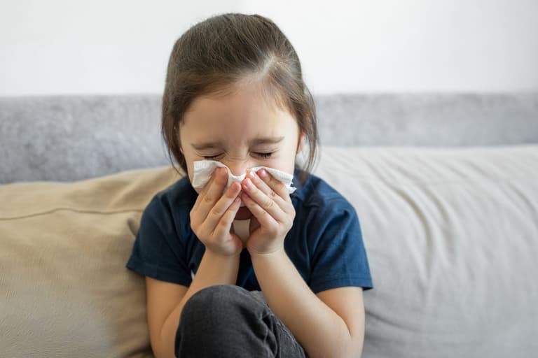 Hay fever medication shortage could affect thousands in Ireland Hay fever medication shortage could affect thousands in Ireland