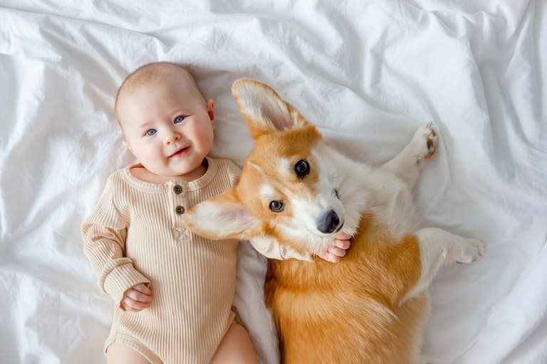 ‘My baby is allergic to our beloved dogs and now I don’t know what to do’ ‘My baby is allergic to our beloved dogs and now I don’t know what to do’