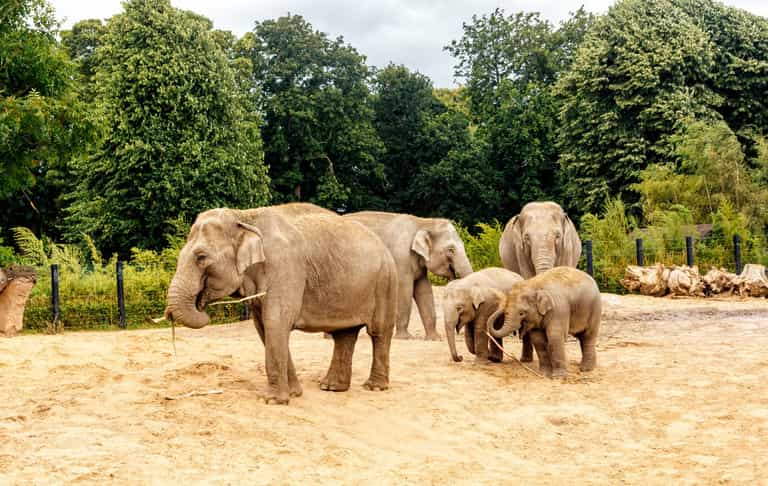 Kids in costume will go free at Dublin Zoo this Halloween weekend Kids in costume will go free at Dublin Zoo this Halloween weekend