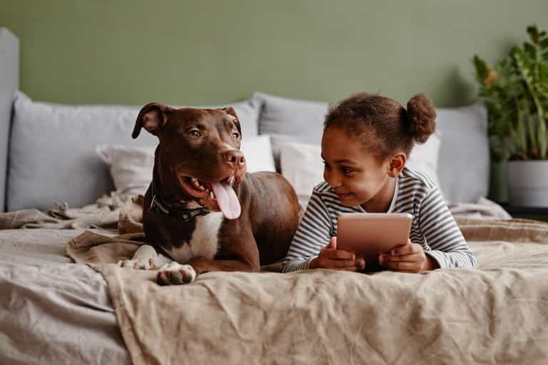 Parents urged to be vigilant to keep children safe online this Christmas Parents urged to be vigilant to keep children safe online this Christmas