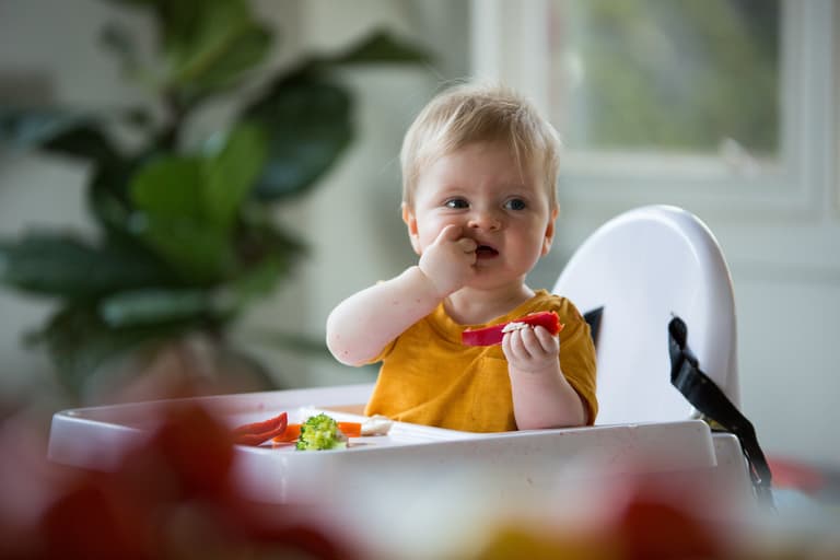 These are the nutrients your baby needs during weaning These are the nutrients your baby needs during weaning