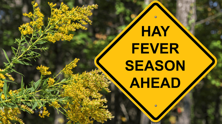 Here are five unusual hay fever symptoms to look out for in kids Here are five unusual hay fever symptoms to look out for in kids