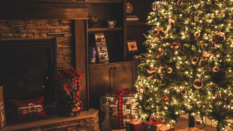 The correct date you should be putting up the Christmas tree The correct date you should be putting up the Christmas tree